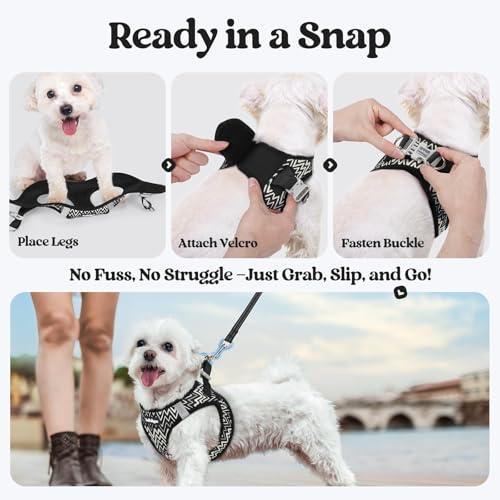 Dog Harness Medium Sized and Leash Set (Black Zigzag / L (chest: 18.2 - 20.5"))