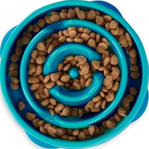 Fun Feeder Slo Bowl (Turquoise / Medium)