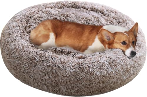 Dog Beds Large Sized Dog (36" / Smoke Brown)