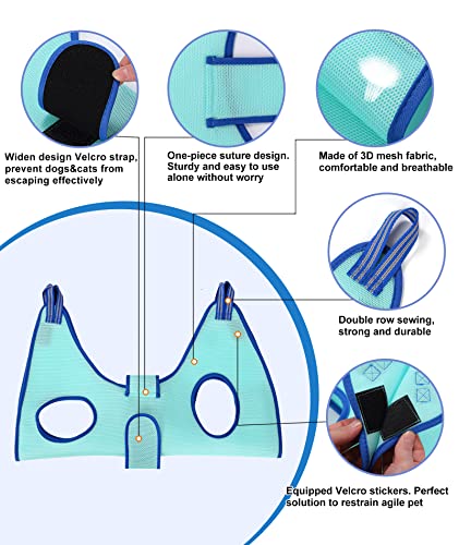 Dog Pet Grooming Hammock (Small 24 LB Max/Turquoise)