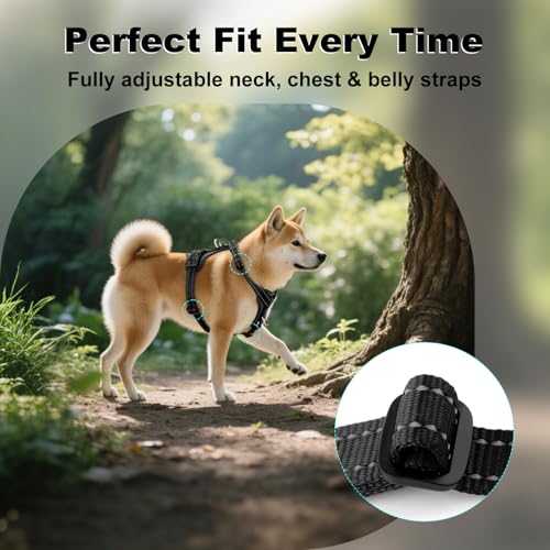 No Pull Dog Harness with Leather Accents (M / Black)