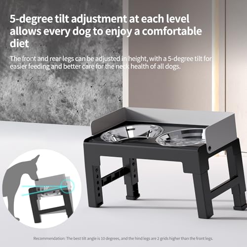 Elevated Dog Bowls for Medium and Large Dogs (2 Stainless Steel Bowls / Grey)