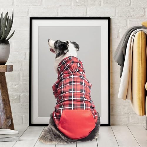 Plaid Dog Hoodie (X-Large / Red)