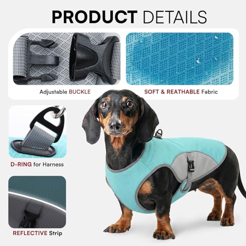 Cooling Vest for Extra (Blue / XXX-Large)