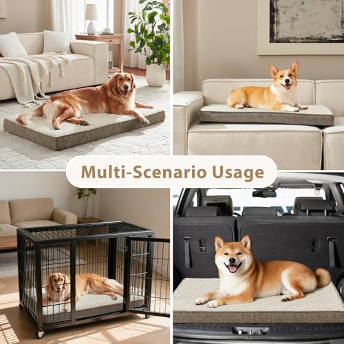 Orthopedic Dog Bed for Small Dogs (S(23"x17") / Beige)