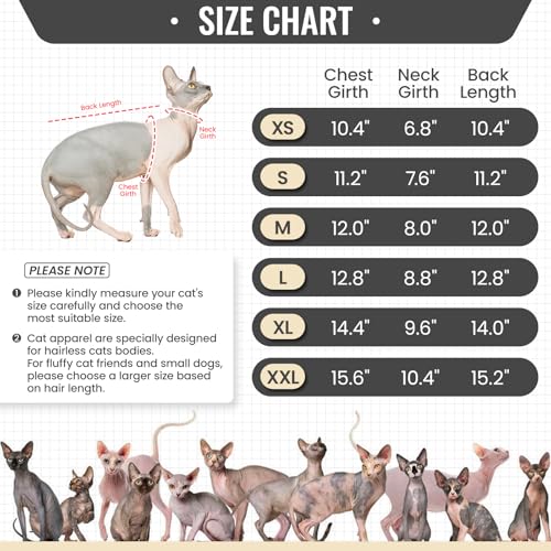 Hairless Cat Shirt (Medium / Black)