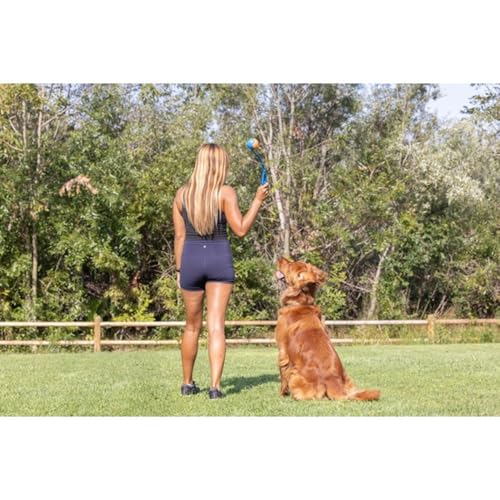 Dog Ball Launcher 12M Sport (Sport / 12in)