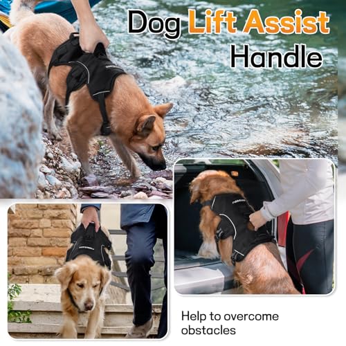 Escape Proof Dog Harness for Large (Black / Large)