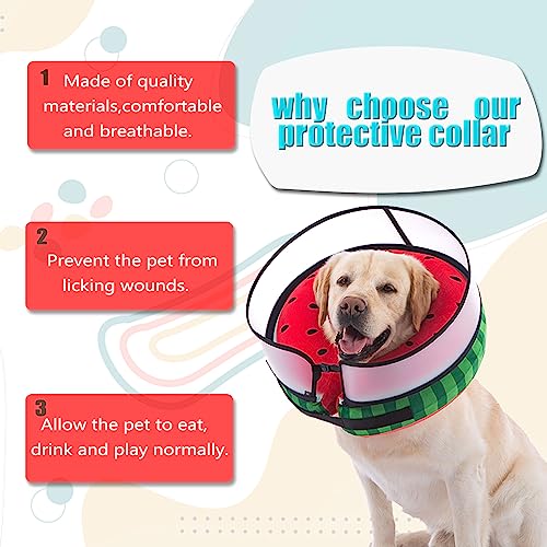 Inflatable Dog Cone Collar with Enhanced Anti (Medium / Watermelon)