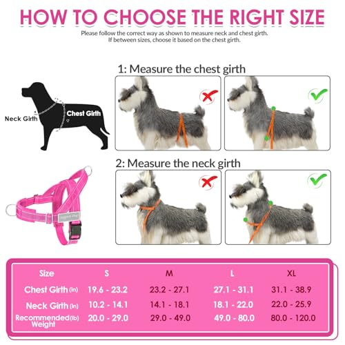 No Pull Dog Harness and Leash Set (Fuchsia / Large)