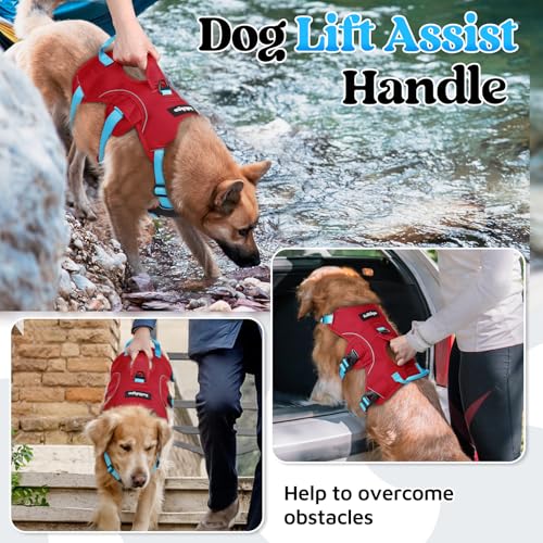 Escape Proof Dog Harness for Medium (Sky Blue & Red / Medium)