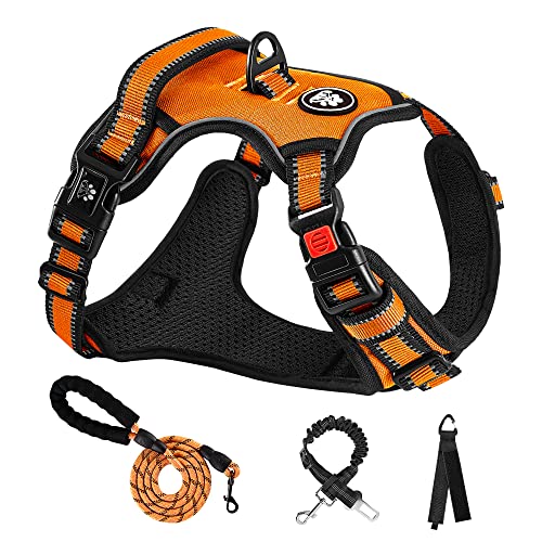 Dog Harness for Small Sized Dog (Orange / Small)