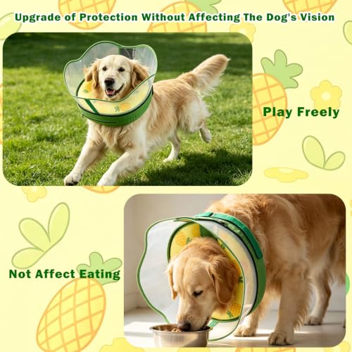 Inflatable Dog Donut Collar (Yellow Pineapple / S (Neck 7"-9.5"))