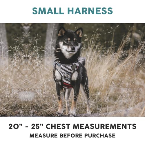 Embark No Pull Dog Harness (S / Maverick)