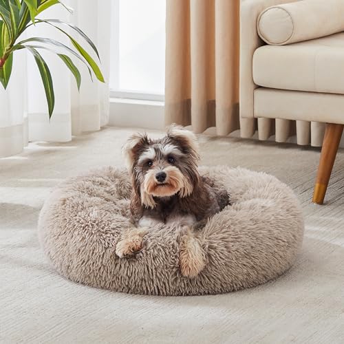 Western Home Calming Donut Small Dog Cat Bed Washable Puppy Bed (Brown / 24.0"l x 24.0"w x 7.0"th)