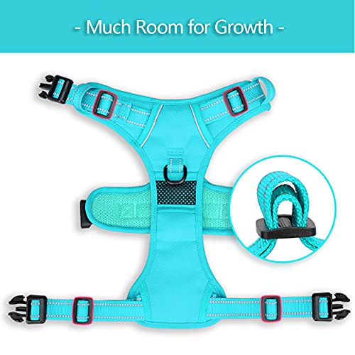 No Pull Dog Harness (XS / Mint Blue(Matching Trim))