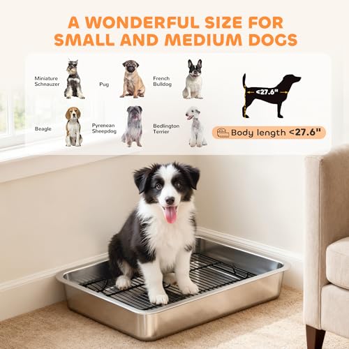 Dog Potty Tray Stainless Steel