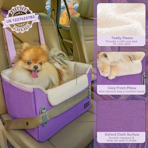 Small Dog Car Seat
