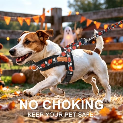 Dog Harness Medium Sized and Leash Set (Halloween Pumpkin / M: Chest 21"-26.7")