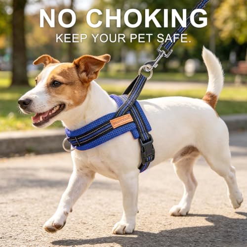 Small Dog Harness and Leash Set (Dark Blue / XS: Chest 15"-18")