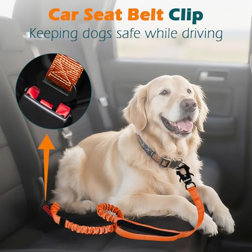 Heavy Duty Tactical Dog Leash (Orange)