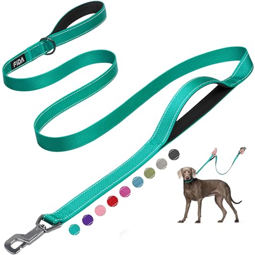 Heavy Duty Dog Leash for Medium Large Dogs (6 Feet (Pack of 1) / Teal)