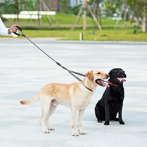 Double Dog Leash (Grey / Large)