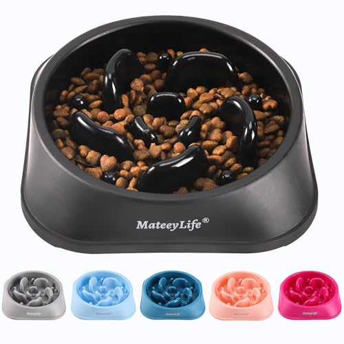 1 Pack Slow Feeder Dog Bowls (H-Black / Medium)