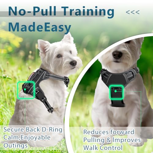 Dog Harness No Pull with ID Tag Pocket (Small(Chest:19.5-26”) / Black)