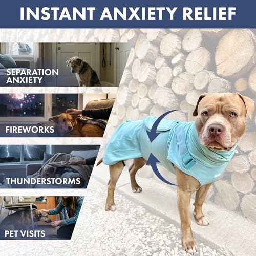 Anxiety Relief Vest for Dogs (01 Teal / X-Large)