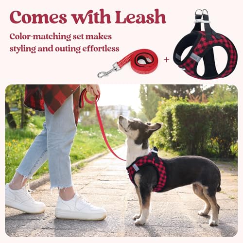 Dog Harness Small Sized and Leash Set (Red Check / Xs (chest: 13.3 - 15.5"))