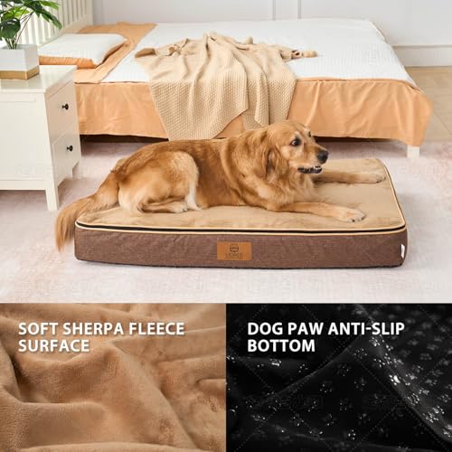 Orthopedic Memory Foam XXL Dog Bed (48.0"L x 30.0"W x 6.0"Th / Light Brown)