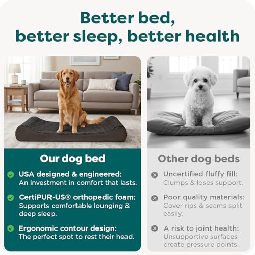 Orthopedic Dog Bed for Large Dogs (Jumbo/XL / Chocolate)