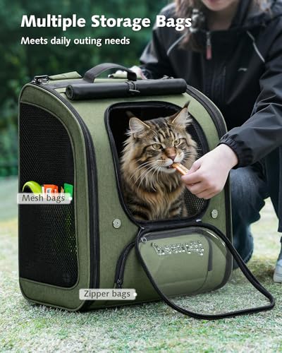 Cat Backpack Carrier (Green / 14.9"L x 11.0"W x 19.6"H)