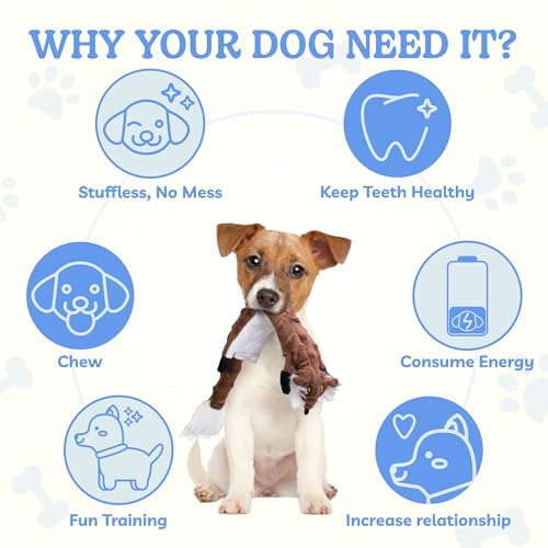 Dog Squeaky Toys 5 Pack (Small / Bubble Plush-5 Pack)