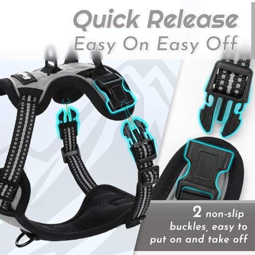 Dog Harness for Small Dogs (X-Small / Grey)