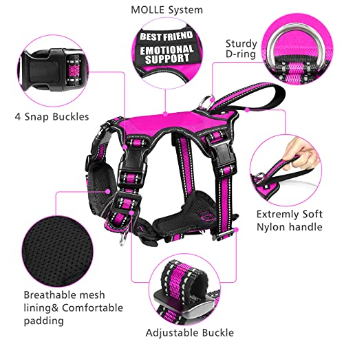 Pet Harness Collar and Leash Set (Large / Rosy)