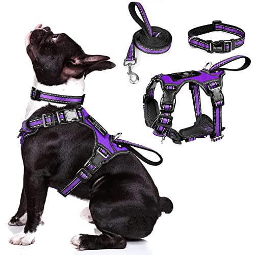Pet Harness Collar and Leash Set (Medium / Purple)