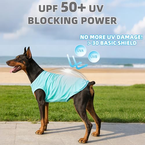 Cooling Sunblock Dog Clothes for Large Dogs (Blue & Light Green / Large(Chest 24", Back 17"))