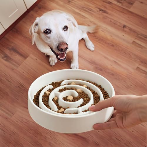 Ceramic Slow Feeder Dog Bowl (White)