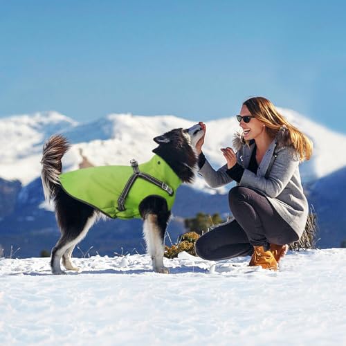 Dog Raincoat Waterproof Dog Hoodie Reflective Dog Raincoat Hooded Adjustable Rain Jacket for Small Medium Large Dogs Puppies (M / Green)