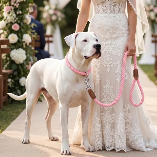 Dog Leash Braided Cotton Rope with Leather (Pink / 48 Inch-1/2")