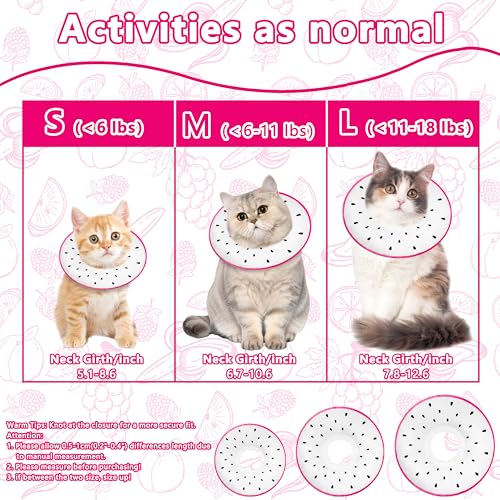 Cat Cone Collar Soft (Dragonfruit / Large)