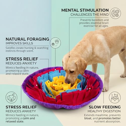 Snuffle Mat for Dogs