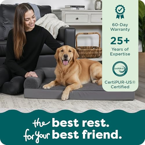 Orthopedic Dog Bed for Large Dogs (Jumbo / Platinum Gray)