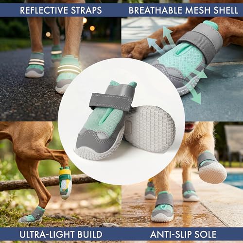 365 Dog Shoes (Turquoise / Size 7: 2.8"x3.15"(W*L) (Pack of 4))