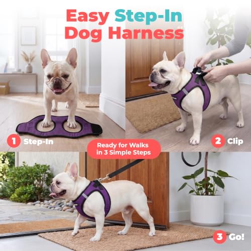Voyager Step in Air Dog Vest Harness (Purple/Black Trim / M (Chest: 16 - 18"))