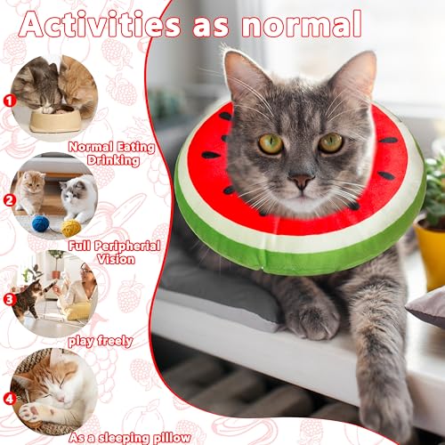 Cat Cone Collar Soft (Watermelon / Small)