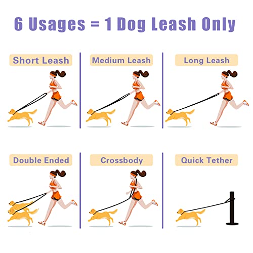 Hands Free Leather Dog Leash 8ft - PetSolution