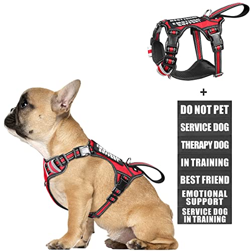 Service Dog Vest No Pull Dog Harness with 7 Dog Patches (Small / Red)